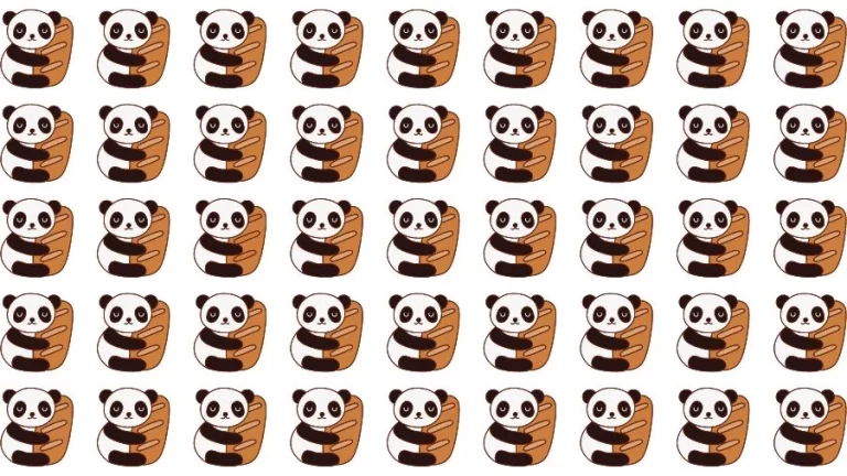 Observation Skills Test: Try to find the Odd Panda in this Image