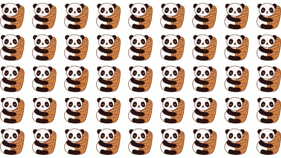 Observation Skills Test: Try to find the Odd Panda in this Image