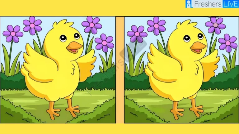 Only Extra Sharp Eyes can spot 3 differences in the Duck pictures within 15 seconds