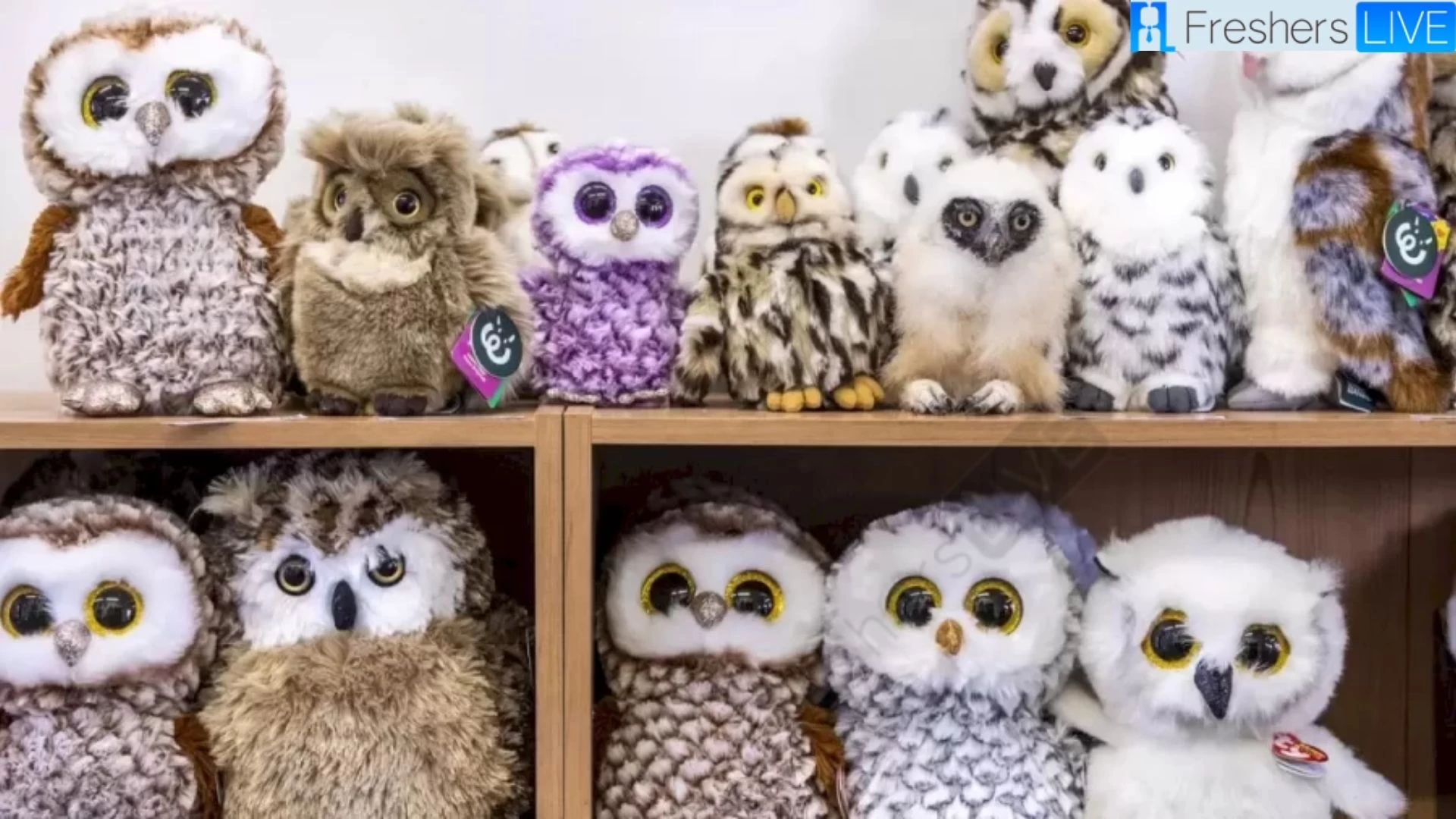 Only The Sharpest Eyes Can Spot The Real Owl In 10 Secs