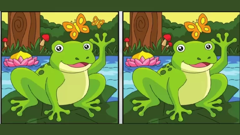 Only a Genius Can Find the 5 Differences in less than 25 seconds!