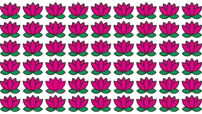 Only people with the IQ Can Find the Odd Lotus in 14 Secs