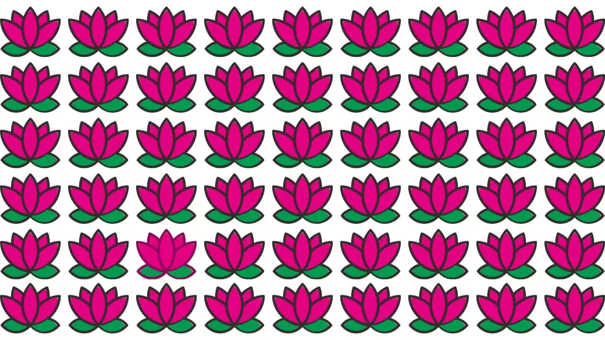 Only people with the IQ Can Find the Odd Lotus in 14 Secs