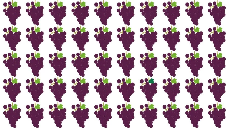 Optical Illusion Brain Challenge: Can you find the Odd Grapes in 12 Seconds?