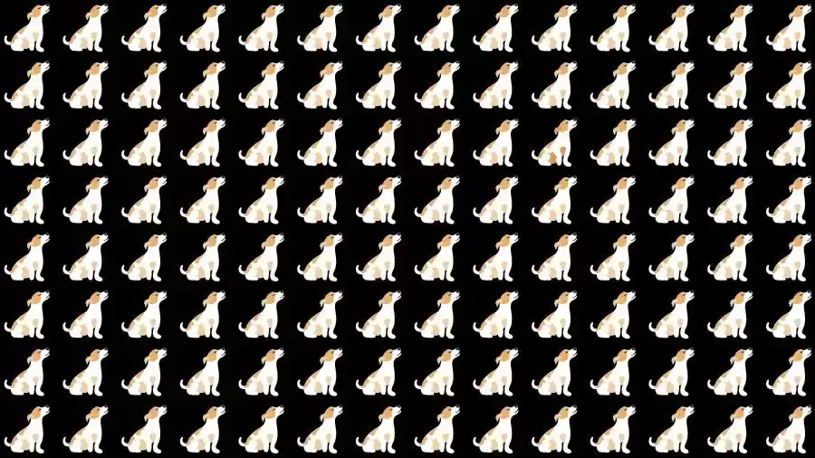 Optical Illusion Brain Teaser: Can you find the Odd Dog in 12 Seconds?