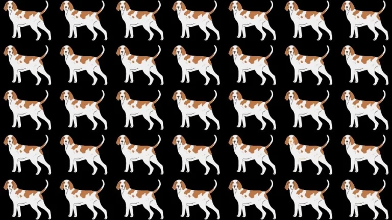 Optical Illusion Eye Test: Can you find the Odd Dog in 20 Seconds?