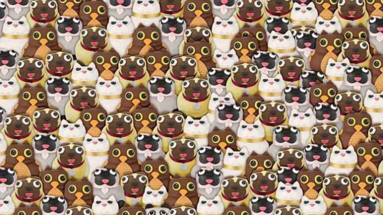 Only 1% can spot the Panda hidden between Cats, Pug Dogs & Owls in 7 secs!