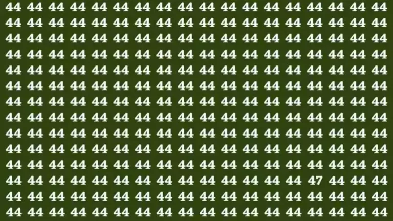 Optical Illusion: If you have Hawk Eyes Find the number 33 among 35 in 6 Seconds?