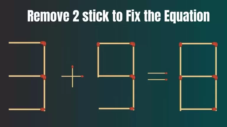 Solve the Puzzle Where 3+9=8 by Removing 2 Sticks to Fix the Equation