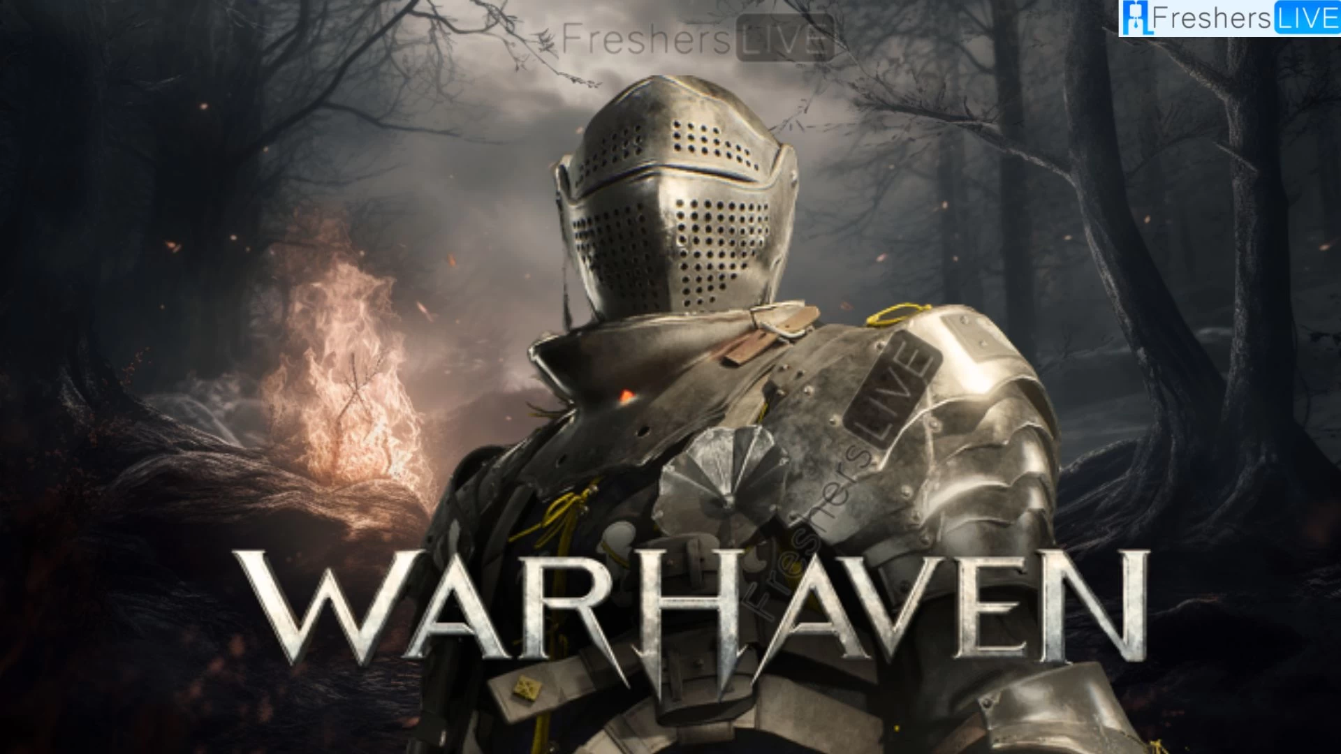 Warhaven Failed to Login, How to Fix Warhaven Failed to Login?