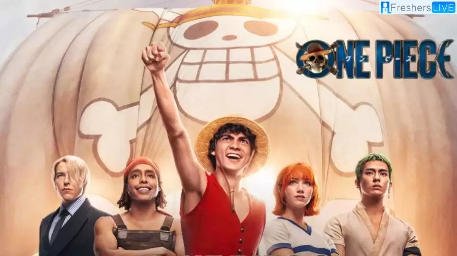Who Plays Luffy in One Piece Live Action? Meet the One Piece Live Action Cast