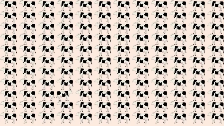 Optical Illusion Brain Test: If you have Sharp Eyes Find the Odd Cow in 10 Seconds