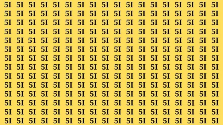 Observation Brain Test: If you have Hawk Eyes Find the Number 51 in 15 Secs