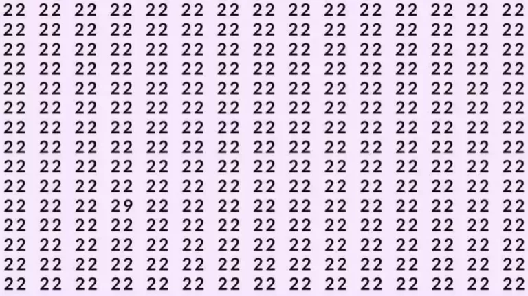 Observation Skill Test: If you have Eagle Eyes Find the number 29 among 22 in 9 Seconds?