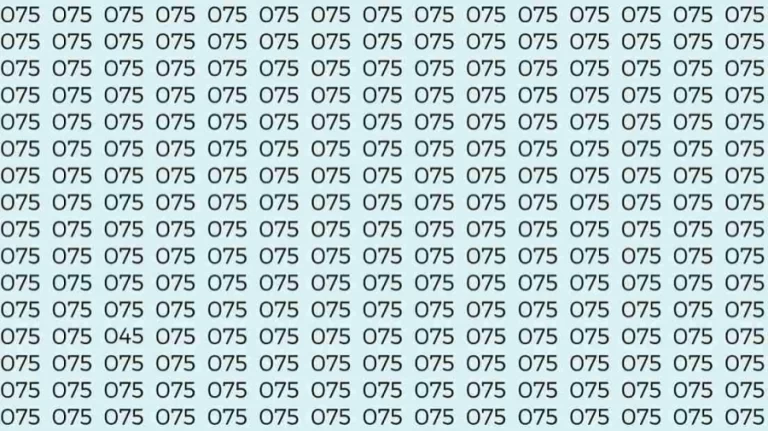 Optical Illusion Test: If you have Sharp Eyes Find the number 045 among 075 in 8 Seconds?