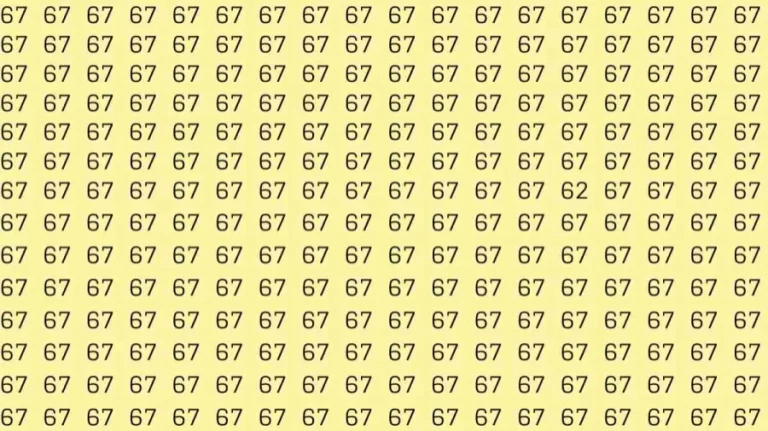 Optical Illusion Test: If you have Eagle Eyes Find the number 62 among 67 in 10 Seconds?