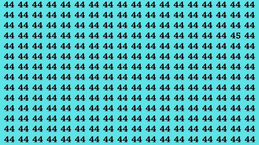 Observation Brain Test: If you have Keen Eyes Find the Number 45 in 15 Secs