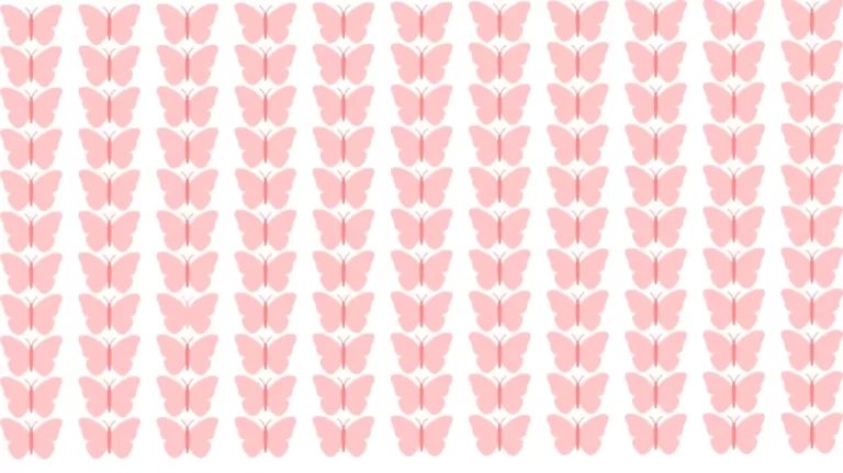 Optical Illusion Brain Test: If you have Sharp Eyes find the Odd Butterfly in 8 Seconds