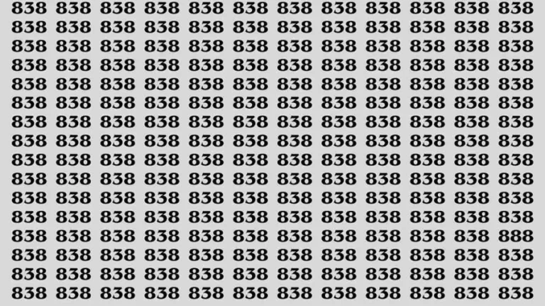 Observation Brain Test: If you have Keen Eyes Find the Number 888 among 838 in 15 Secs