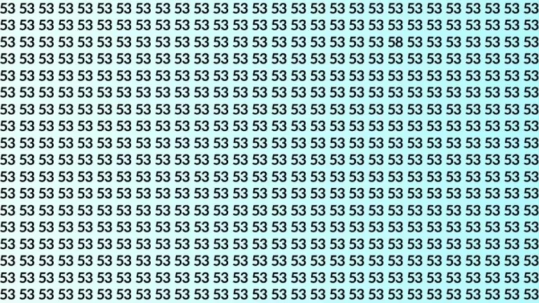 Observation Brain Test: If you have Hawk Eyes Find the Number 58 among 53 in 15 Secs