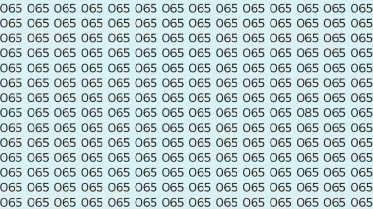 Observation Skills Test: If you have Sharp Eyes find the number 085 among 065 in 7 Seconds