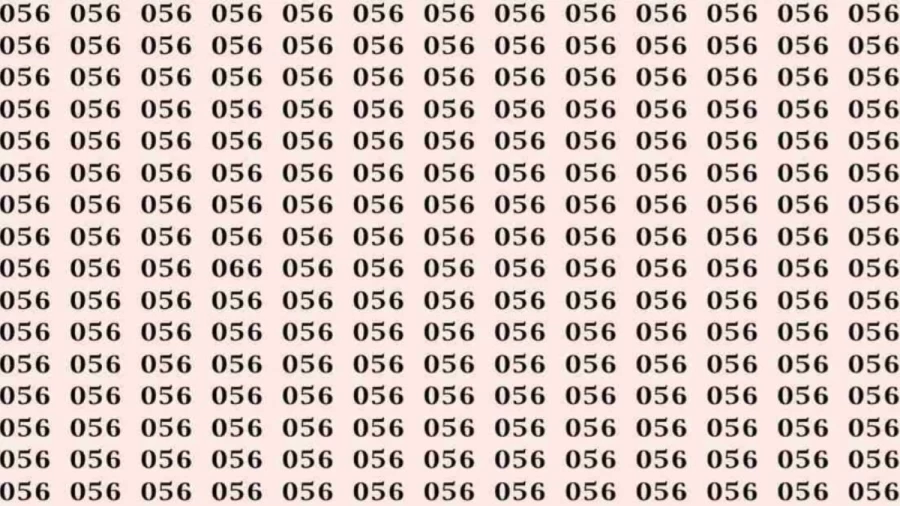 Observation Skills Test: If you have Sharp Eyes find the number 066 among 056 in 8 Seconds