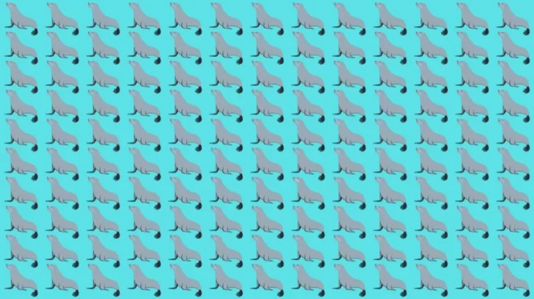 Optical Illusion Brain Test: If you have Eagle Eyes find the Odd Seal Animal in 8 Seconds