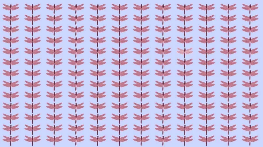 Optical Illusion Brain Test: If you have Hawk Eyes find the Odd Dragonfly within 8 Seconds