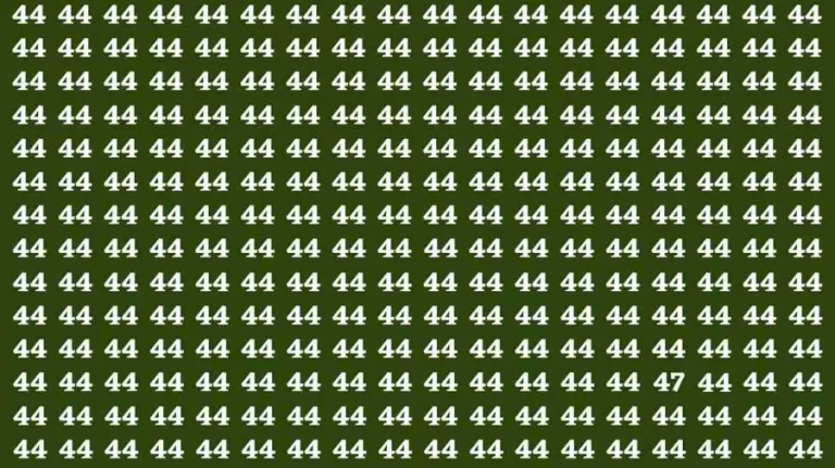 Observation Brain Test: If you have Keen Eyes Find the Number 47 in 15 Secs