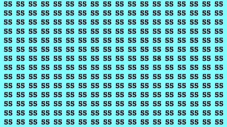 Brain Test: If you have Eagle Eyes Find the Number 58 among 55 in 15 Secs