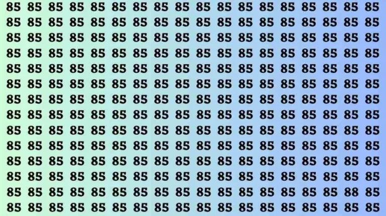 Observation Brain Test: If you have Hawk Eyes Find the Number 88 in 15 Secs