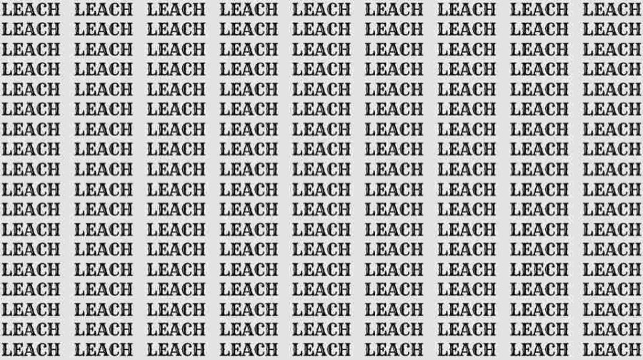 Observation Skill Test: If you have Eagle Eyes find the word Leech among Leach in 8 Secs
