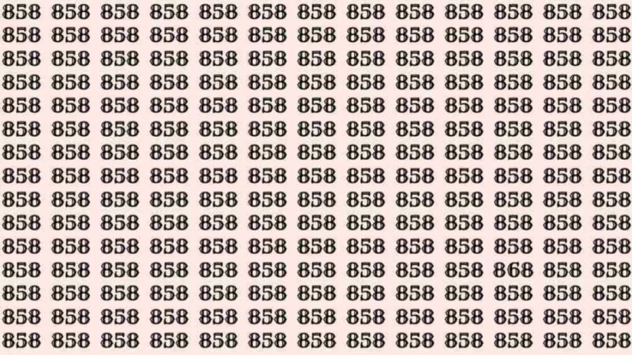 Optical Illusion: If you have Hawk Eyes Find the number 868 among 858 in 6 Seconds?