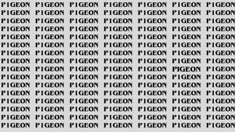 Observation Brain Test: If you have Hawk Eyes Find the Word Pigeon in 15 Secs