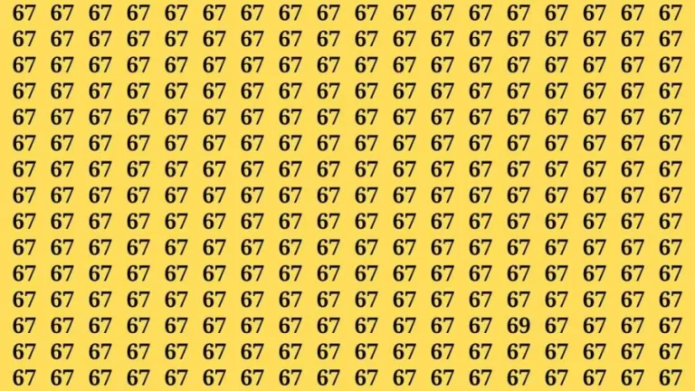 Observation Brain Test: If you have Hawk Eyes Find the Number 69 among 67 in 15 Secs