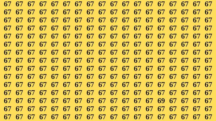 Observation Brain Test: If you have Hawk Eyes Find the Number 69 among 67 in 15 Secs