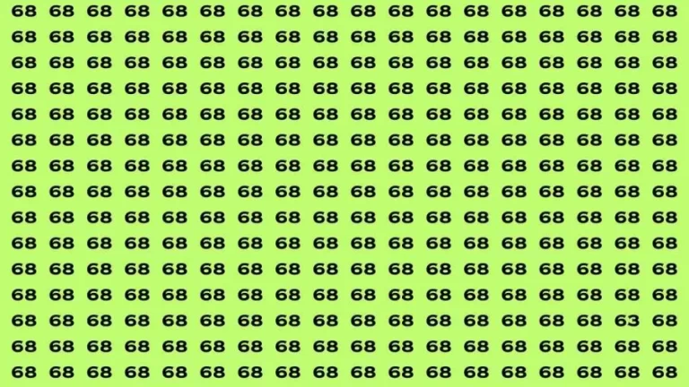 Brain Test: If you have Eagle Eyes Find the Number 63 among 68 in 15 Secs