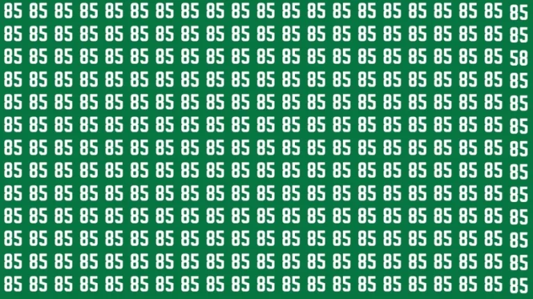 Observation Brain Test: If you have Eagle Eyes Find the Number 58 among 85 in 12 Secs