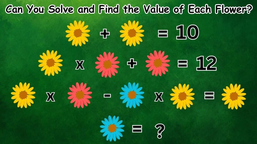 Brain Teaser Math Test: Can You Solve and Find the Value of Each Flower in 30 Secs?