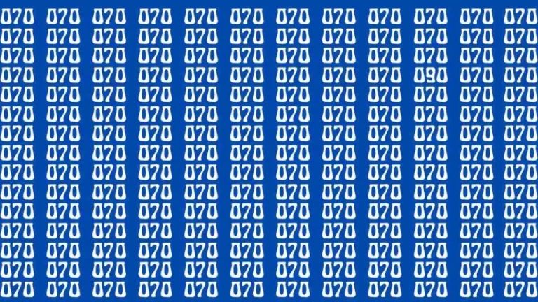 Observation Brain Test: If you have Hawk Eyes Find the Number 090 among 070 in 15 Secs