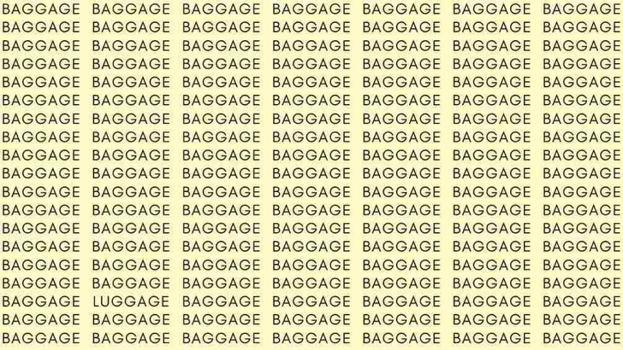 Observation Skill Test: If you have Eagle Eyes find the Word Luggage among Baggage in 5 Secs