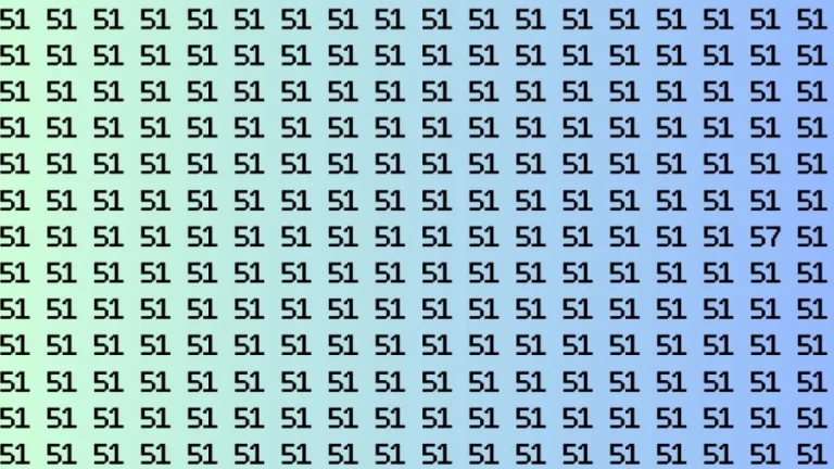 Observation Brain Test: If you have Keen Eyes Find the Number 57 among 51 in 15 Secs