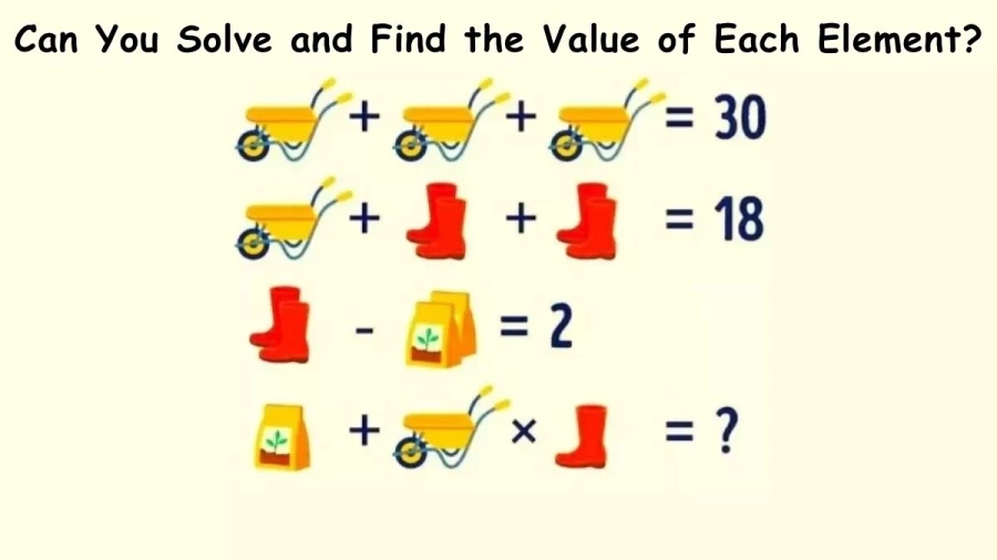 Brain Teaser IQ Test: Can You Solve and Find the Value of Each Element