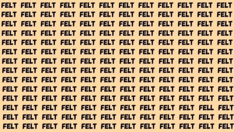 Observation Brain Test: If you have Sharp Eyes Find the Word Fell among Felt in 12 Secs