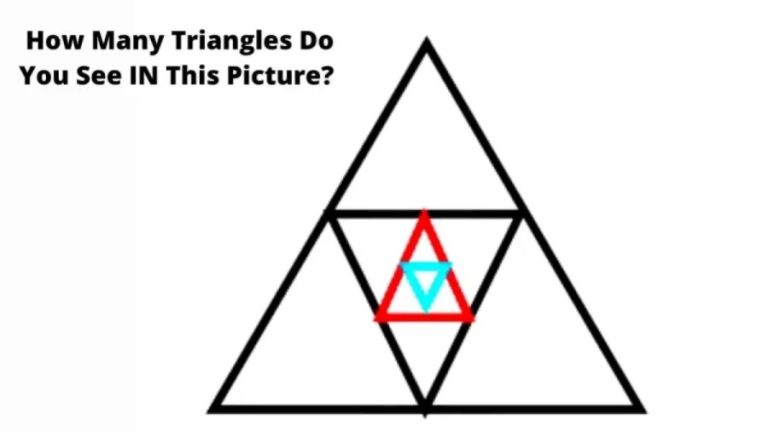 Brain Teaser Eye Test – How Many Triangles do you See in this Picture?