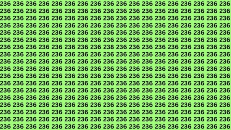 Optical Illusion Brain Test: If you have Eagle Eyes Find the Number 236 among 238 in 15 seconds?