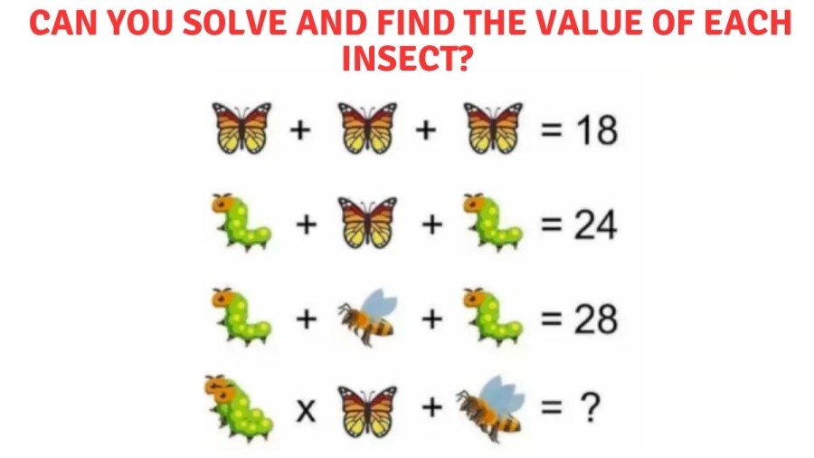 Brain Teaser: Can you Solve and Find the Value of Each Insect?