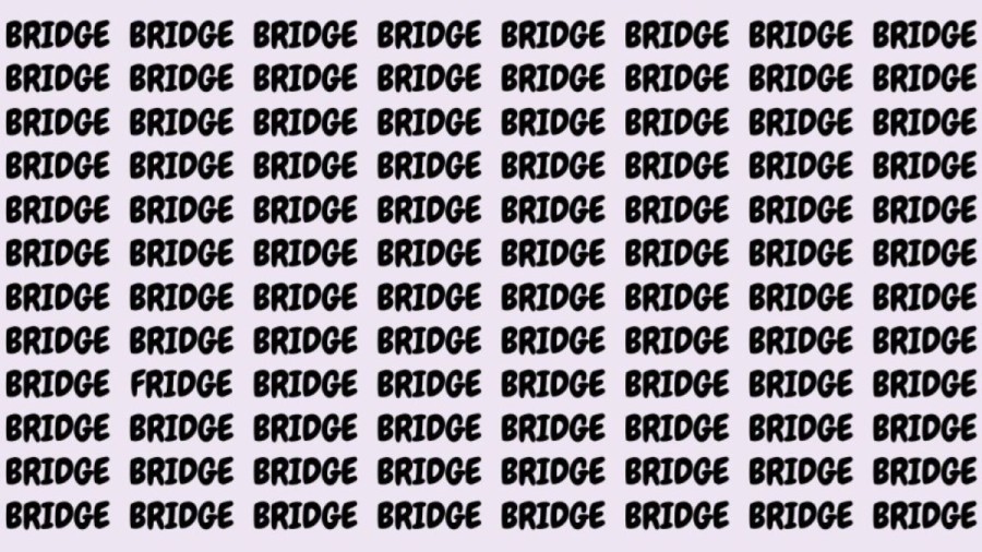 Optical Illusion: If you have Eagle Eyes find the Word Fridge among Bridge in 20 Secs