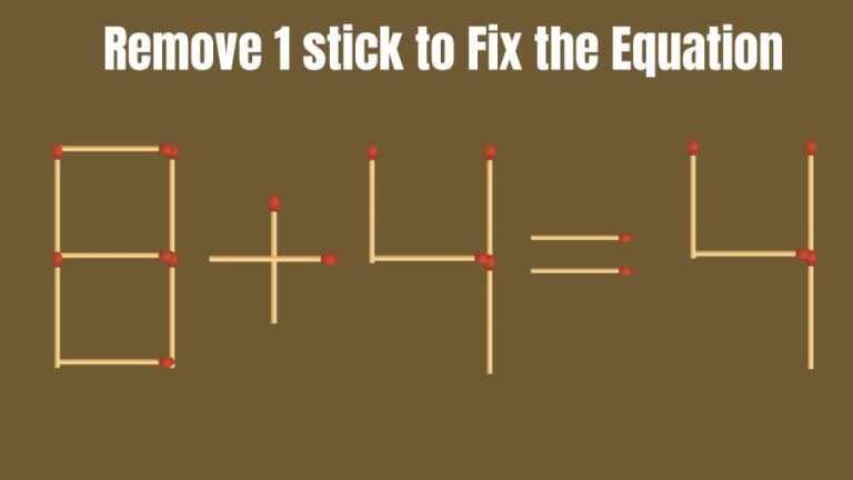 8+4=4 Can you Remove 1 Stick to Fix the Equation in 30 Seconds? Brain Teaser