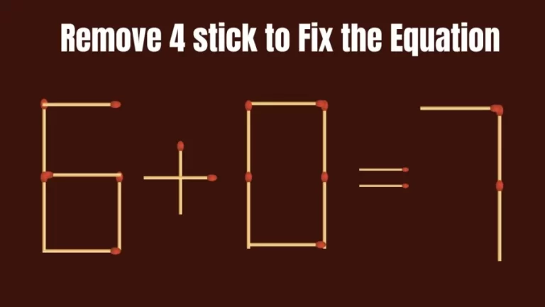 Brain Teaser: 6+0=7 Remove 4 Matchsticks to make the Equation Right | Clever Matchstick Puzzle